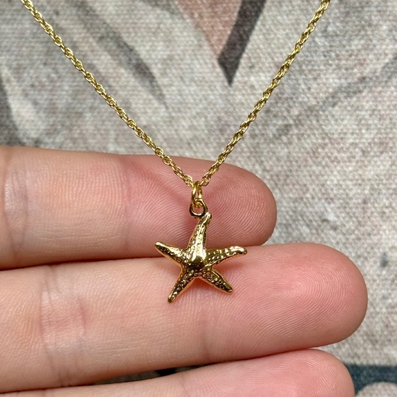 Vermeil Gold Starfish Minimalist Pendant on 925 S.S/18k Gold Italian Rope Chain - Picture 1 of 3